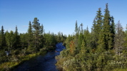 Landschaft bei Jukkasjärvi