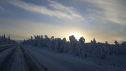 Strasse in Richtung Kiruna