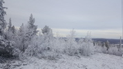 Winterwanderung um Poikkijärvi
